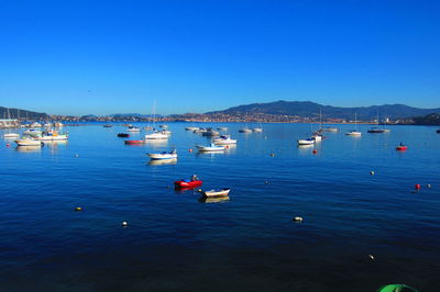 Boats moored at harbor