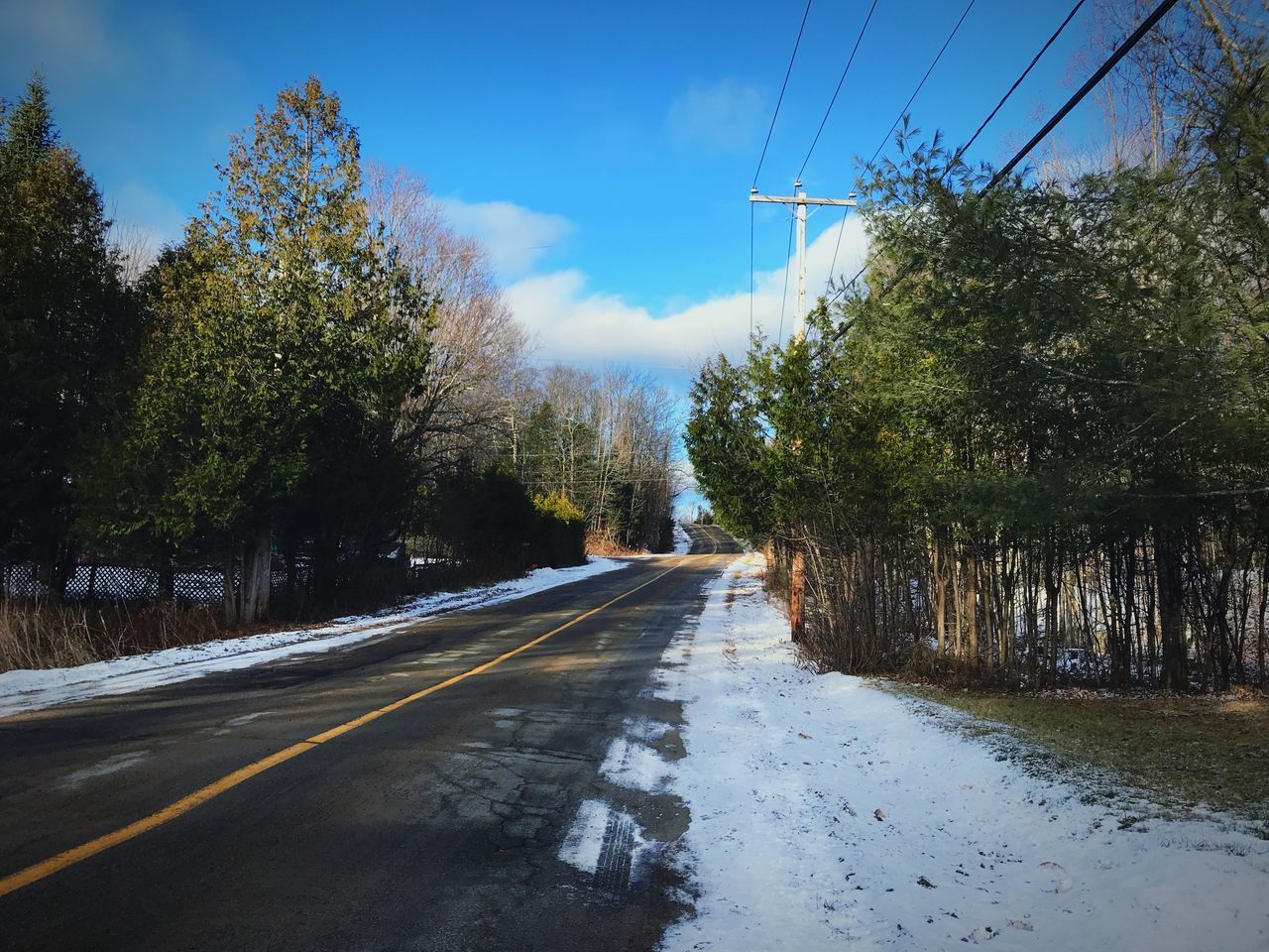 ROAD AMIDST TREES