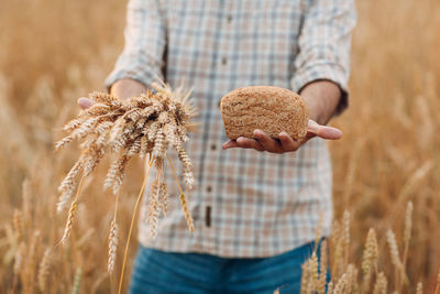 Midsection of man holding crops at field