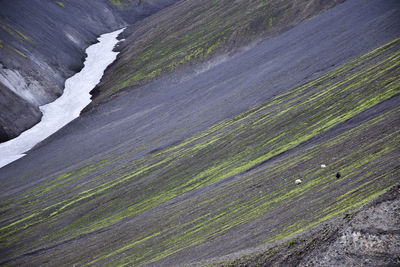 Abstract image of agricultural field