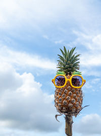 Close-up of fruits on sunglasses against sky