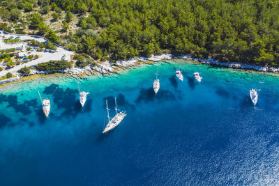 High angle view of people swimming in sea