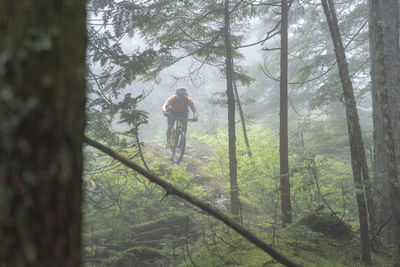 Rear view of man riding motorcycle in forest