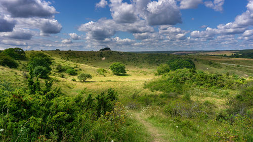 Scenic view of landscape against sky