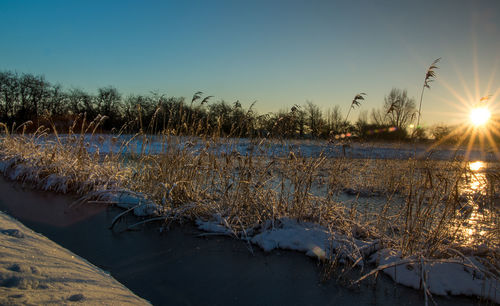 Scenic view of lake at sunset