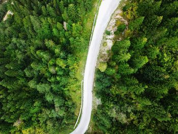 High angle view of road amidst trees in forest