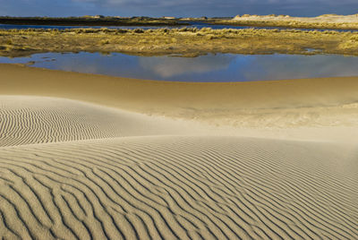 Sand ripples on beach, råbjerg mile, denmark, europe