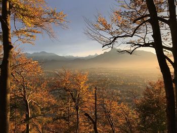 Scenic view of tree mountains against sky during sunset