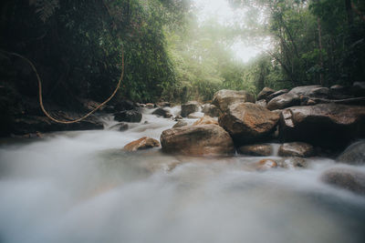 Stream flowing through rocks in forest