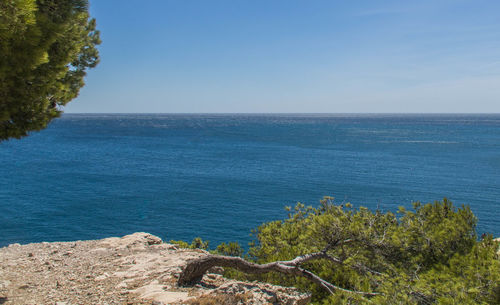 Scenic view of sea against clear sky