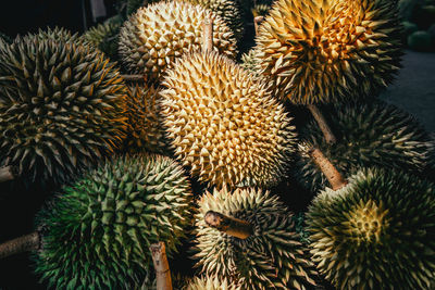 Close-up of fruits