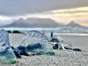 Surface level of frozen water on beach