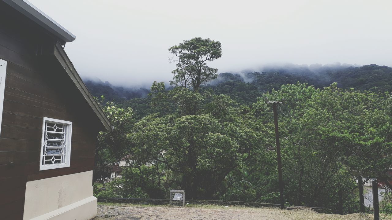 tree, no people, day, house, outdoors, architecture, built structure, growth, building exterior, mountain, nature, beauty in nature, sky