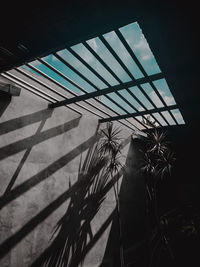 Low angle view of silhouette plants seen through window