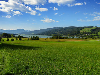 Scenic view of field against sky