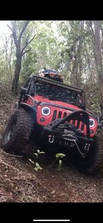 Toy car on road in forest