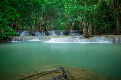 Scenic view of waterfall in forest