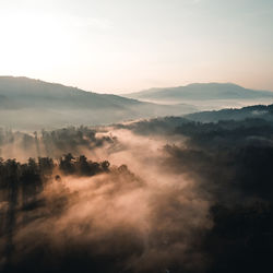 Scenic view of forest during sunrise against sky