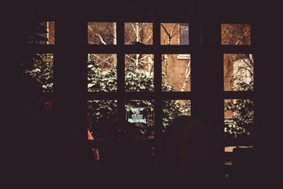 Silhouette trees seen through window