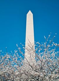 Low angle view of tree and national monument against clear blue sky