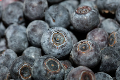 Full frame shot of blueberries