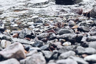 Surface level of pebble beach