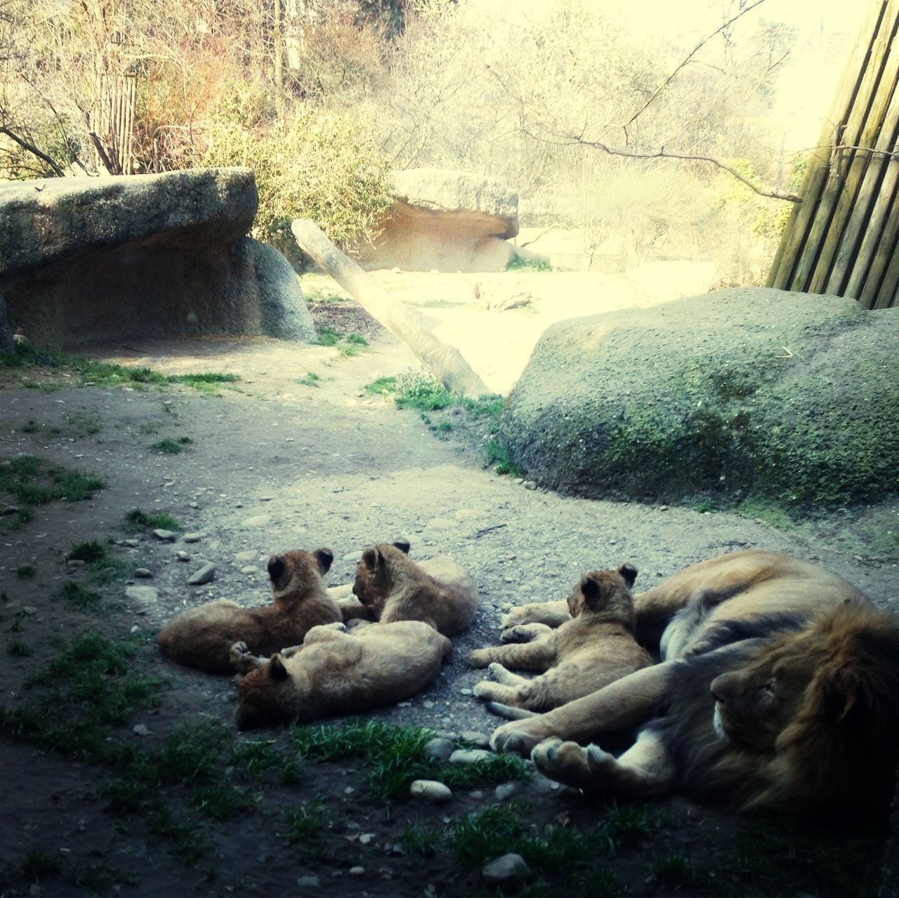 Zoo Basel Dorenbach