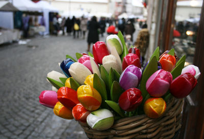 Close-up of multi colored flowers in basket