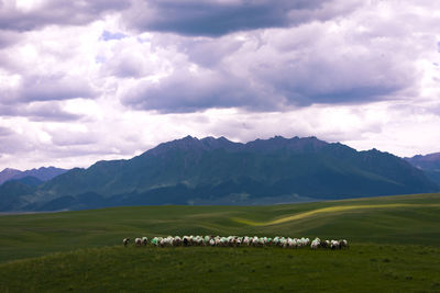 Scenic view of mountains against sky