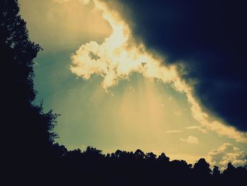 Low angle view of silhouette trees against sky