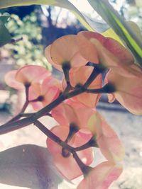 Close-up of hand on tree