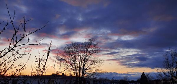 Low angle view of silhouette bare trees against dramatic sky