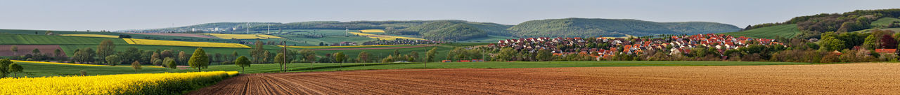 Scenic view of agricultural field against sky
