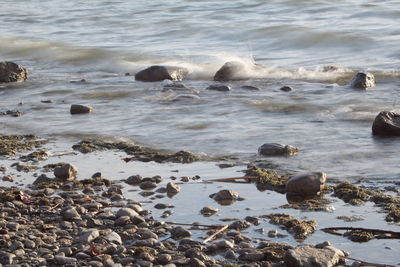 View of pebbles on beach