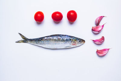 Top view of sardine fish and garlic and tomatoes