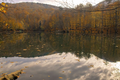 Scenic view of lake by trees against sky