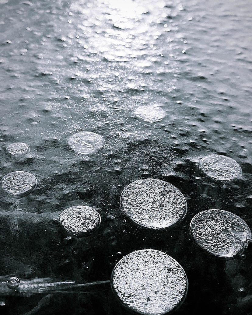 water, monochrome, black and white, no people, drop, wet, monochrome photography, black, circle, nature, high angle view, reflection, rain, full frame, backgrounds, close-up, geometric shape, day, outdoors, shape, lake, pattern, rippled