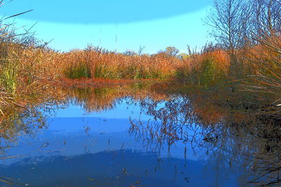 Reflection of trees in lake against sky