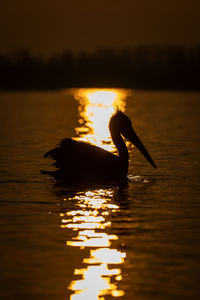 Silhouette woman in boat on lake during sunset