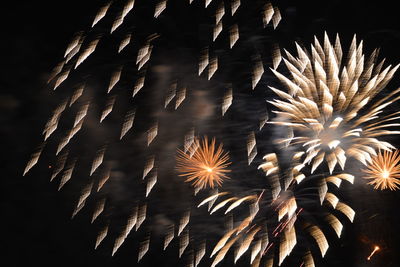 Low angle view of trees