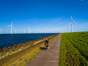 Rear view of people walking on road against blue sky