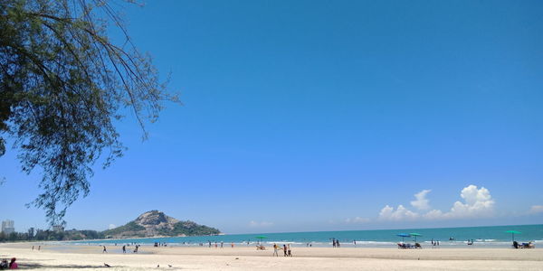 Scenic view of beach against clear blue sky