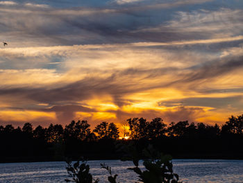 Silhouette trees by lake against sky during sunset