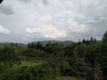 Trees on landscape against sky