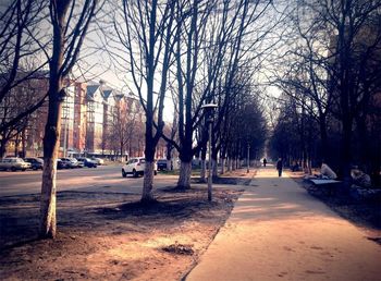 Road passing through bare trees