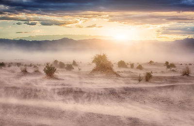 Scenic view of landscape against sky during sunset