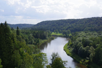 Scenic view of river amidst trees in forest against sky