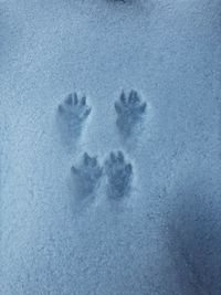 High angle view of footprints in snow