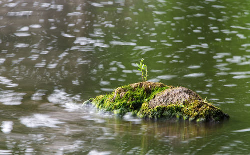 Reflection of rock in lake