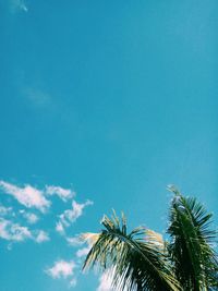 Low angle view of palm tree against blue sky